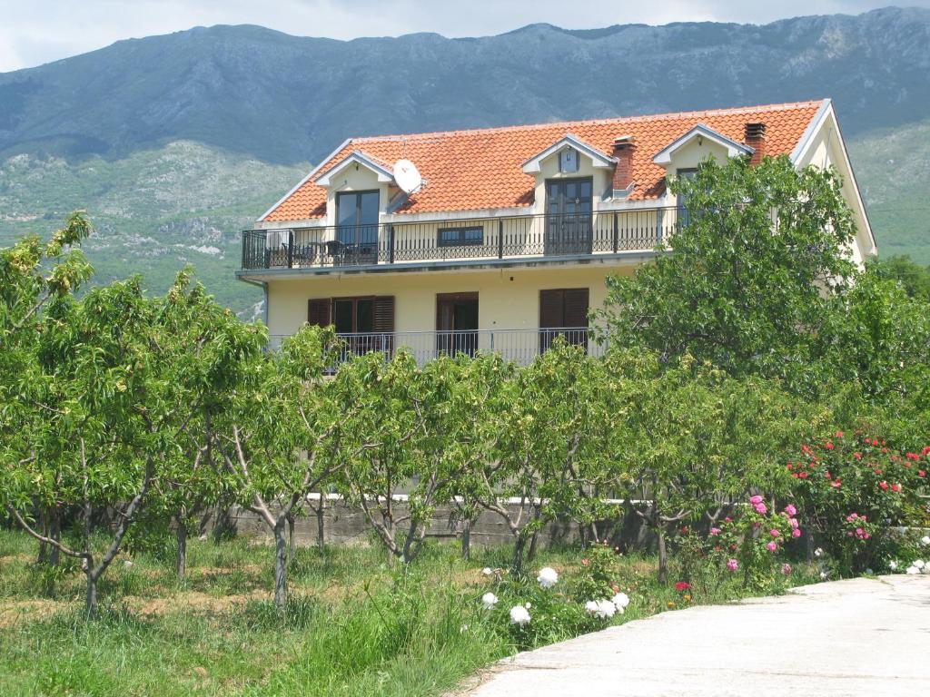 Apartments Ivetic Kotor Exterior photo